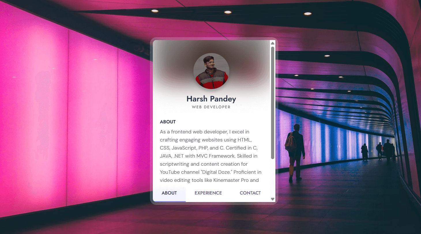 Profile Card Portfolio